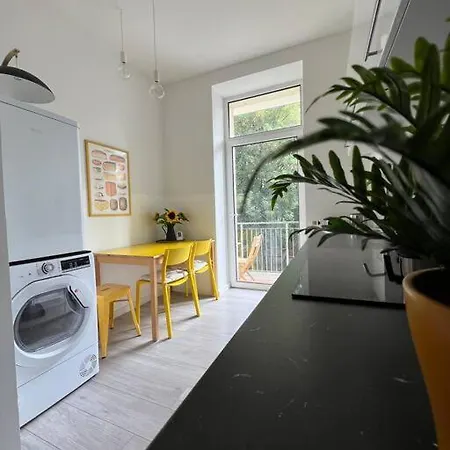Appartement Schoenes In Zentraler Lage Luppenstrasse Leipzig